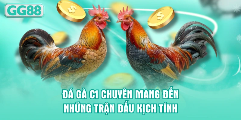 Đá gà C1 chuyên mang đến những trận đấu kịch tính
